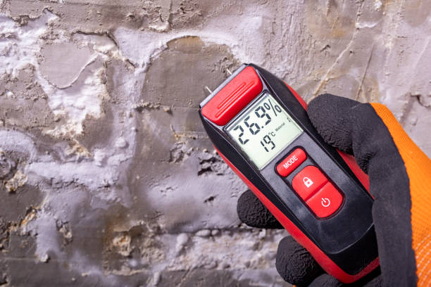 Aztec, NM Mold Removal Company