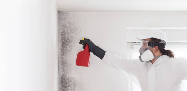 Best Mold Remediation  in Aztec, NM