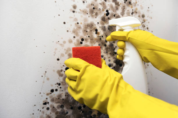 Best Mold Testing  in Aztec, NM