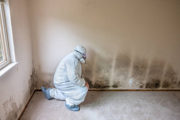 Best Mold Testing  in Aztec, NM